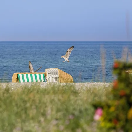 公寓 Aparthotel Zingst 青斯特