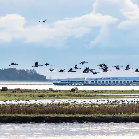 Aparthotel Zingst 4*