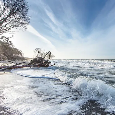 公寓 Aparthotel Zingst 4*